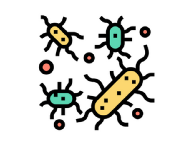 <p><strong>Forebygger Sygdomme & Helbredsproblemer</strong></p>